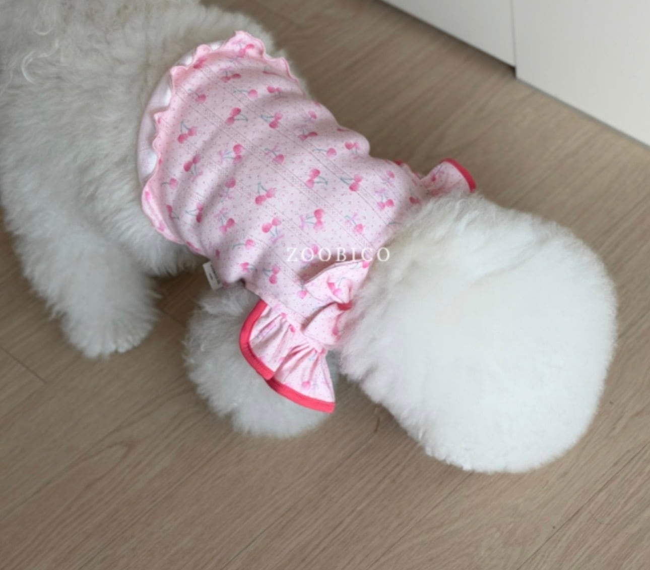 cherry blossom t-shirt S ~ XL 2color / 犬服 春夏 新作 ドッグウェア トップス ブラウス フリル チェリー柄 可愛い 犬の服 お揃い 小型犬 中型犬 ペット用品 ペット洋服