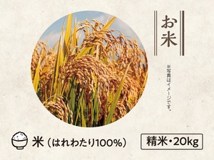 【35】米 はれわたり100％　20kg