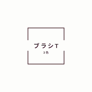 8/24 セミナー参加者限定　STブラシ