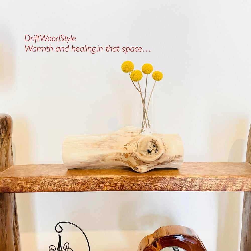 流木 インテリア 流木インテリア専門 DriftWoodStyle