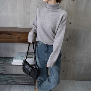タートルネック ニット 長袖 レディース 秋冬 韓国 セーター 暖かい 防寒 きれいめ 大人 おしゃれ シンプル カジュアル 無地 ゆったり 大人可愛い 大人女子