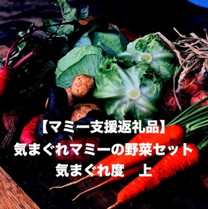 【マミー支援返礼品】気まぐれマミーの野菜セット//気まぐれ度 上