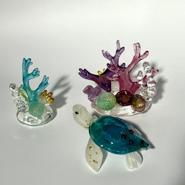 岩沢 達　ウミガメ ジュエリー付き