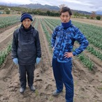 【常温】白ネギ 10kg~ Mサイズ(~1cm程度) 白ねぎ 長ねぎ B品