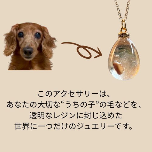 【うちの子ジュエリー】ペットの毛で作る世界に一つのアクセサリー　シンプルクリア　ネックレス　キーホルダー　バッグチャーム