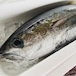 季節のとれたて鮮魚お任せセット7000円