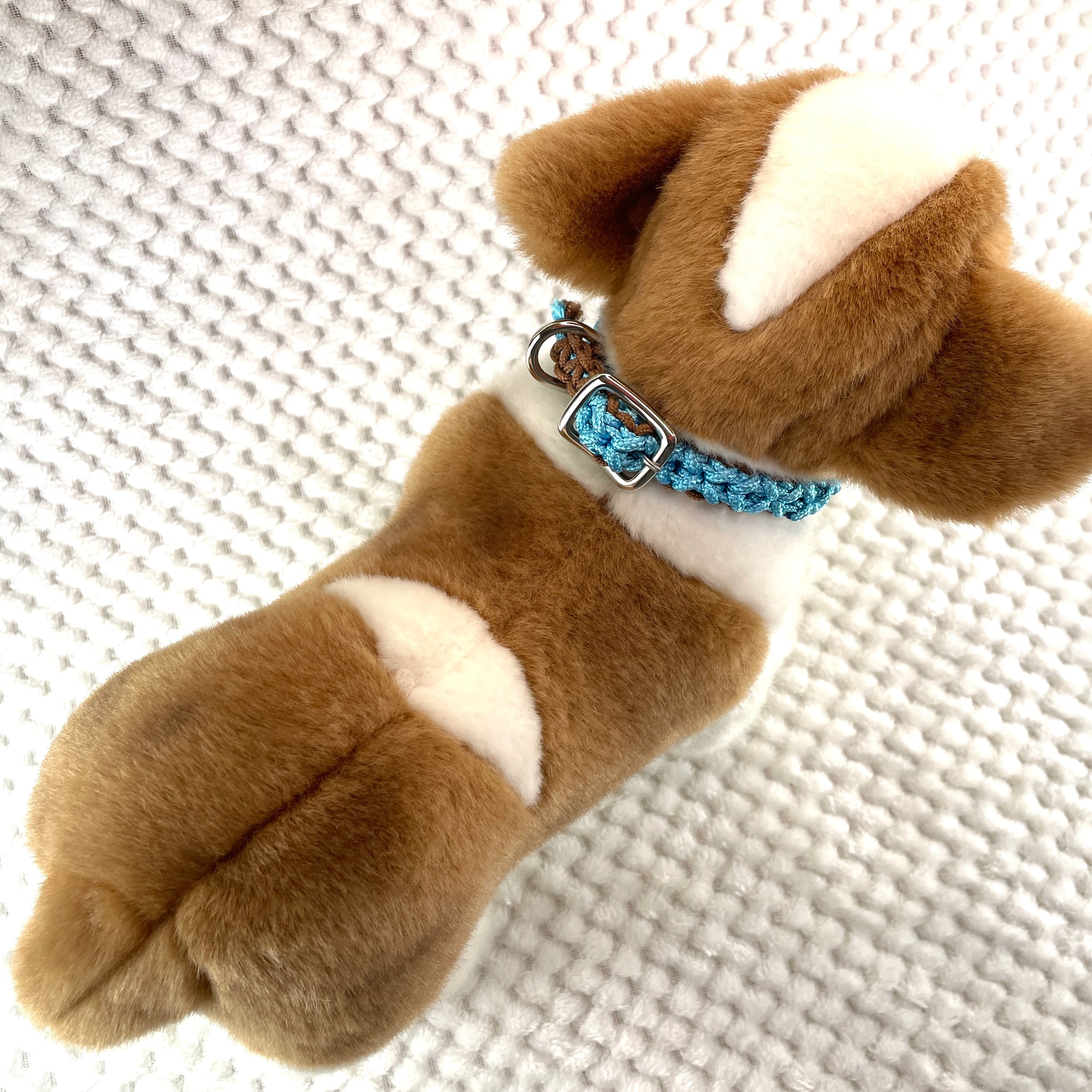 公式]#260パラコード編み犬首輪 光沢あるパラコードで小型犬用首輪