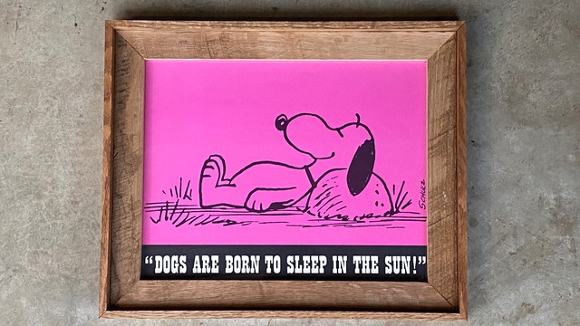 60s PEANUTS POSTERS 【H】