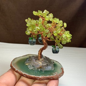 2.青いりんごがなる招財樹・ペリドット