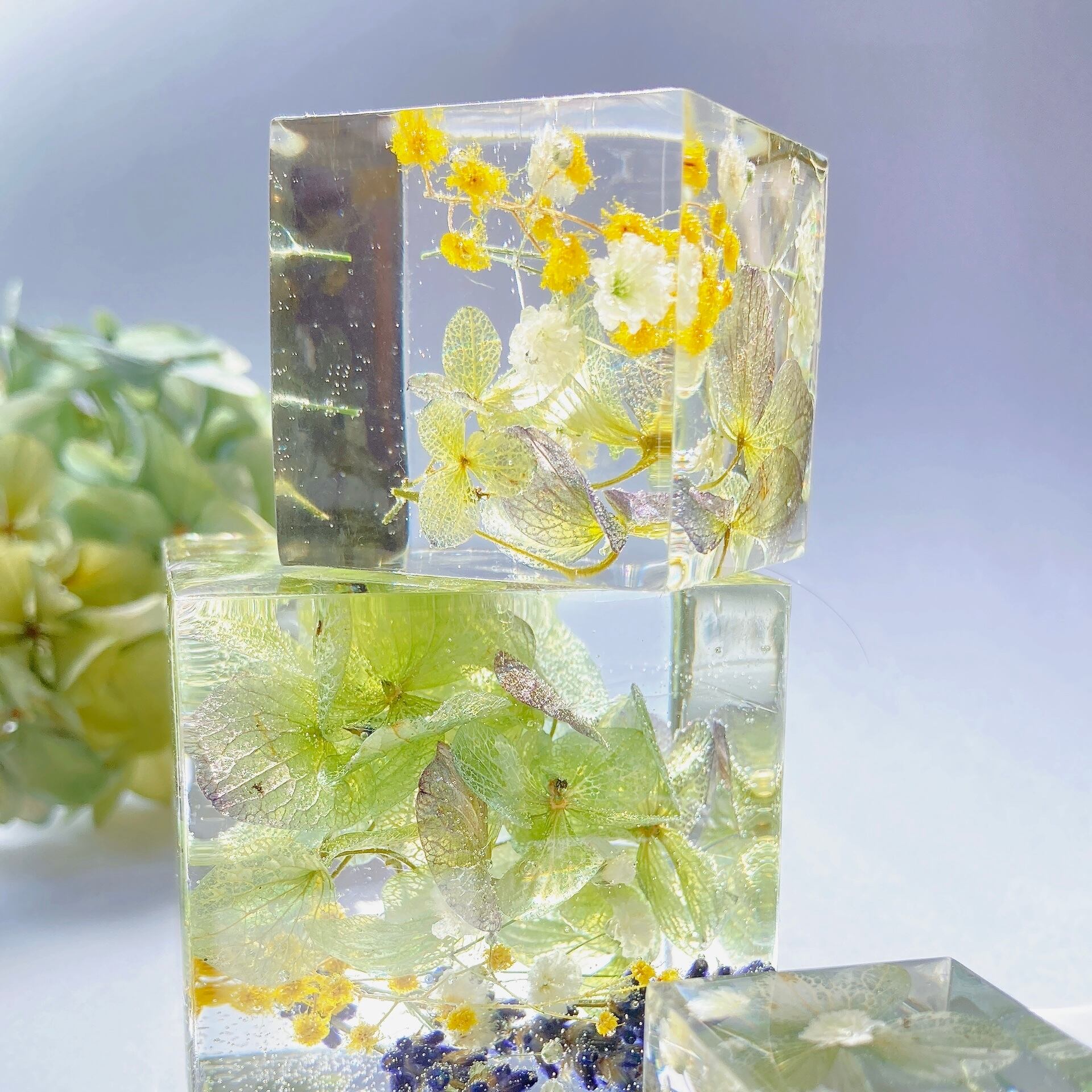 flower cube 【hydrangea】3set