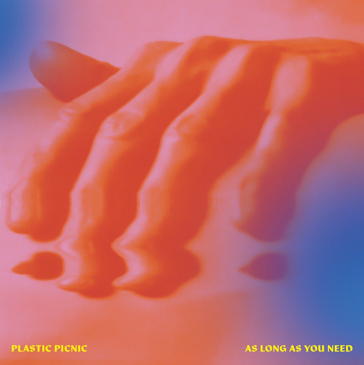 Plastic Picnic / As Long As You Need（LP）