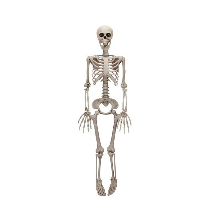 すぐったレディース福袋 身長約７５センチハロウィーン骸骨オブジェ×2