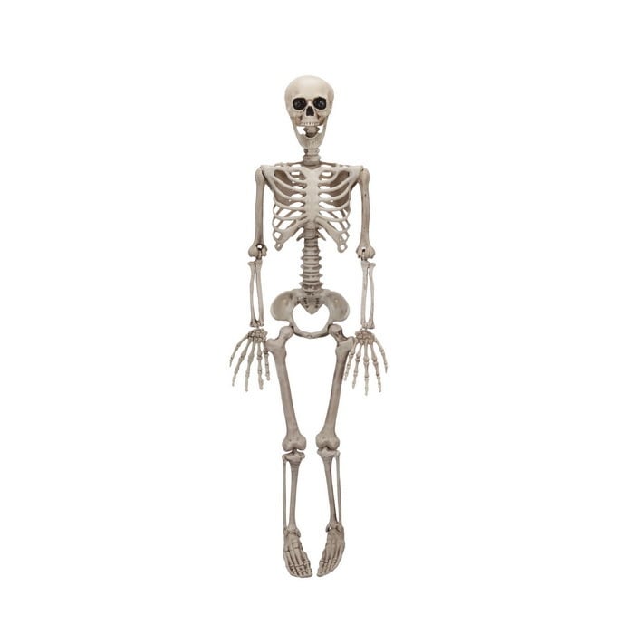 ガイコツ 骸骨 骨 模型 人形 フィギュア 全身 スカル ドクロ 置物