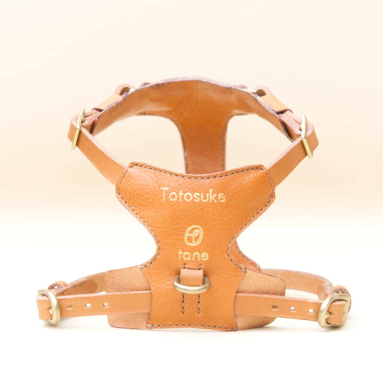 Harness / XS / S