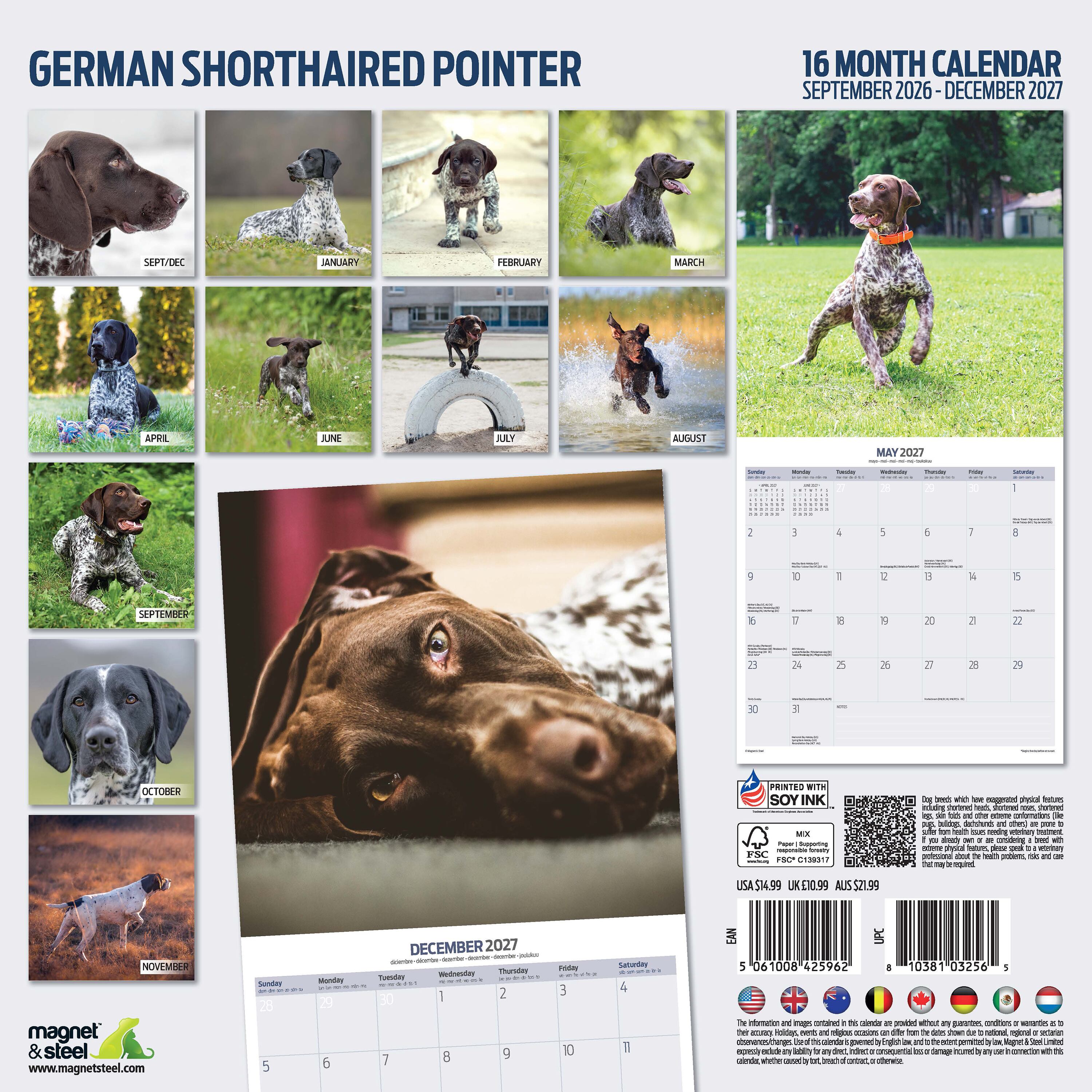 【2027年版】英国製犬種カレンダー【ジャーマン・ショートヘアード・ポインター】Traditional 2027年版