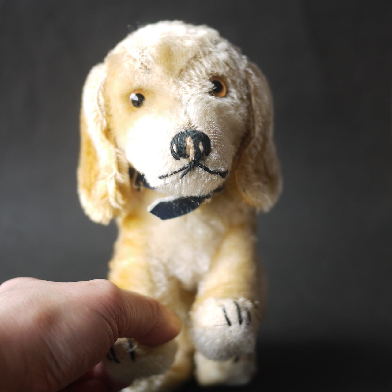 シュタイフ Bazi ダックスフント ドイツ STEIFF