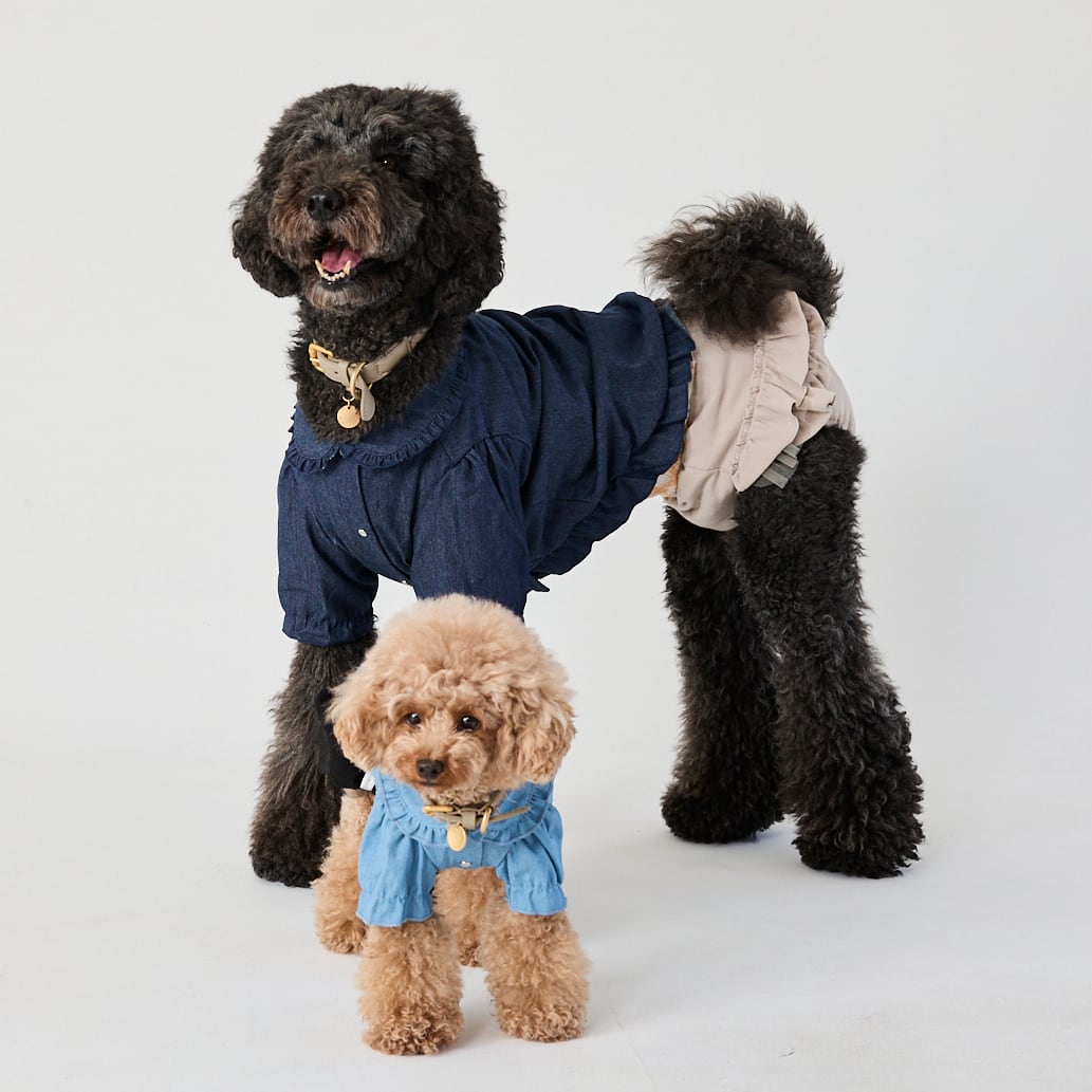 252502大型犬サイズ］デニムフリルブラウス | 犬服ブランド 2e