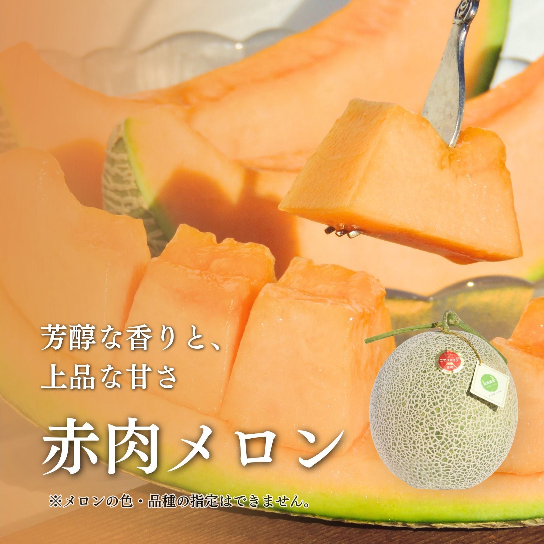 メロン4～5玉＜色おまかせ＞＜7月下旬～9月通常発送＞ | 北海道ニセコ