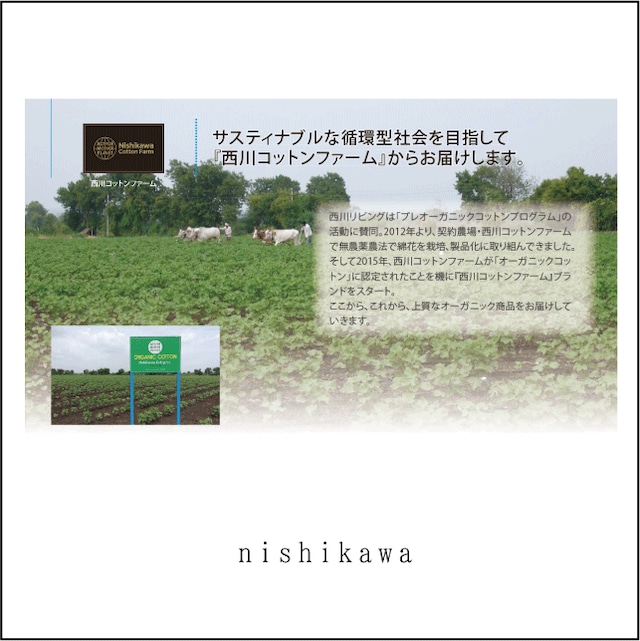 オーガニックコットンタオルケット 「NC37」140×190cm 　nishikawa