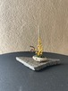 10 軽石枝アレンジ(ミニ)・石の敷台セット