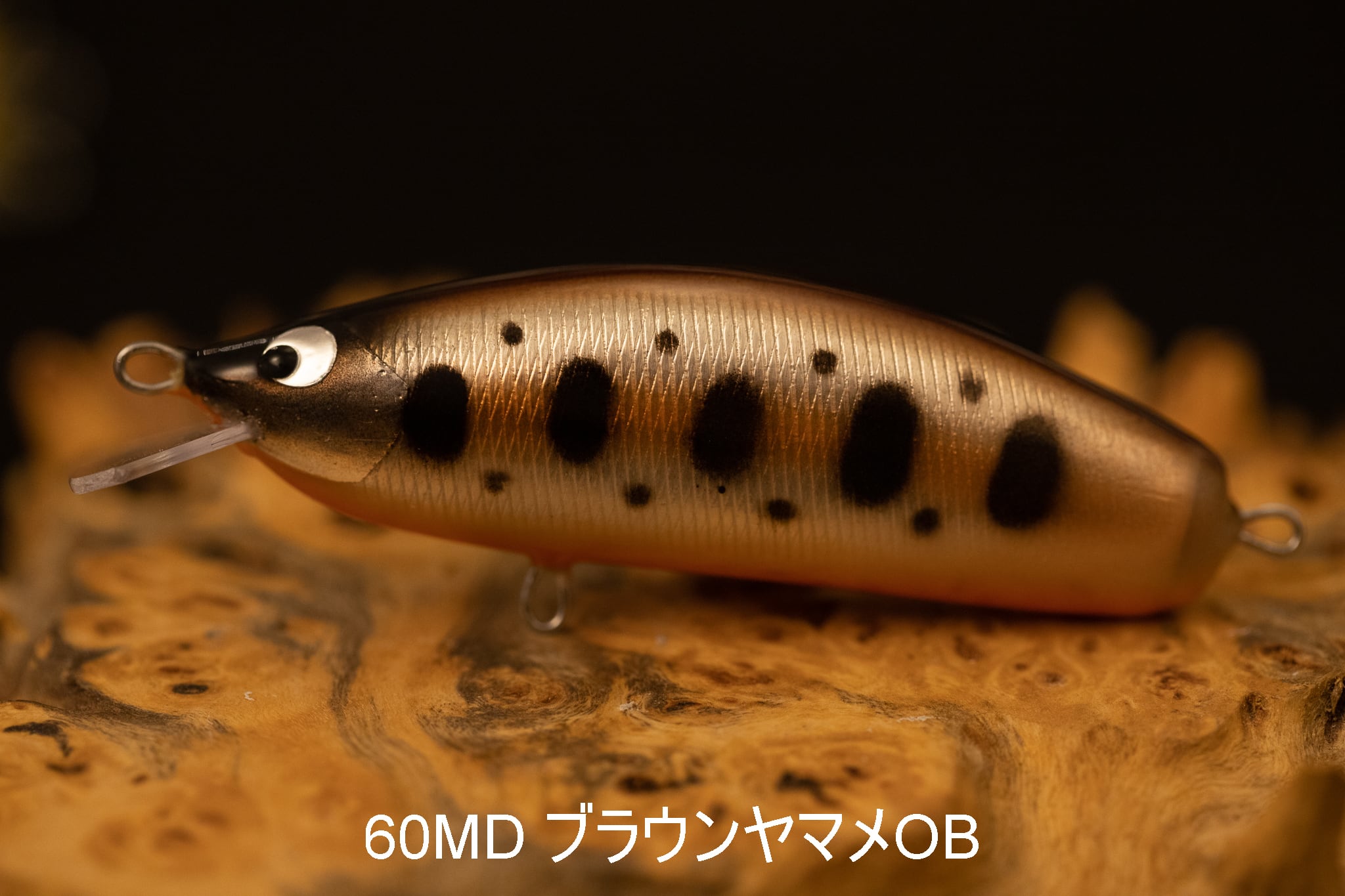 BEAMS THEORY PATHFINDER 60 MD and Floating | ネイティブトラウト