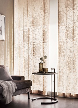 フェデ  カルモナ