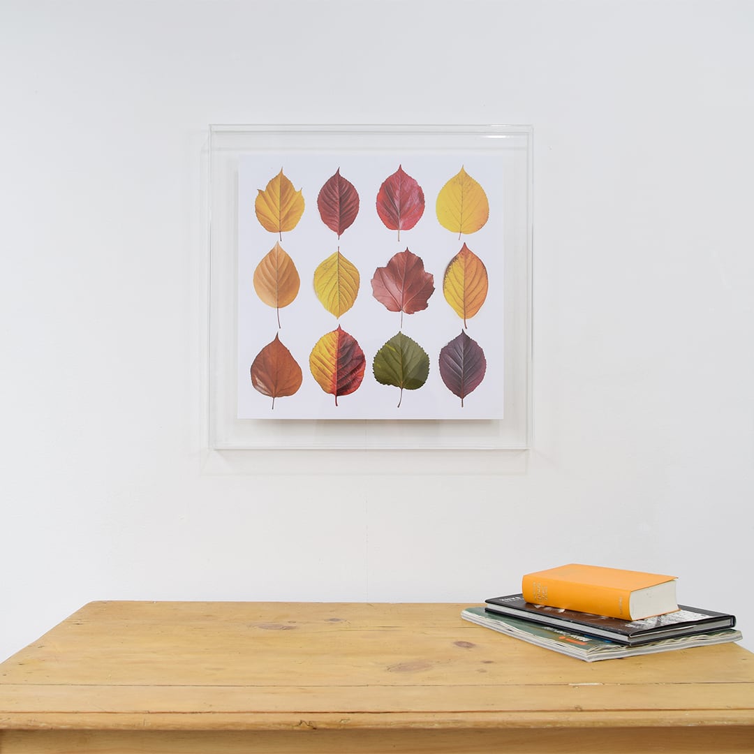 WESSELMAEN】TASCHEN 洋書 大型画集 ウェッセルマン | Pay ID