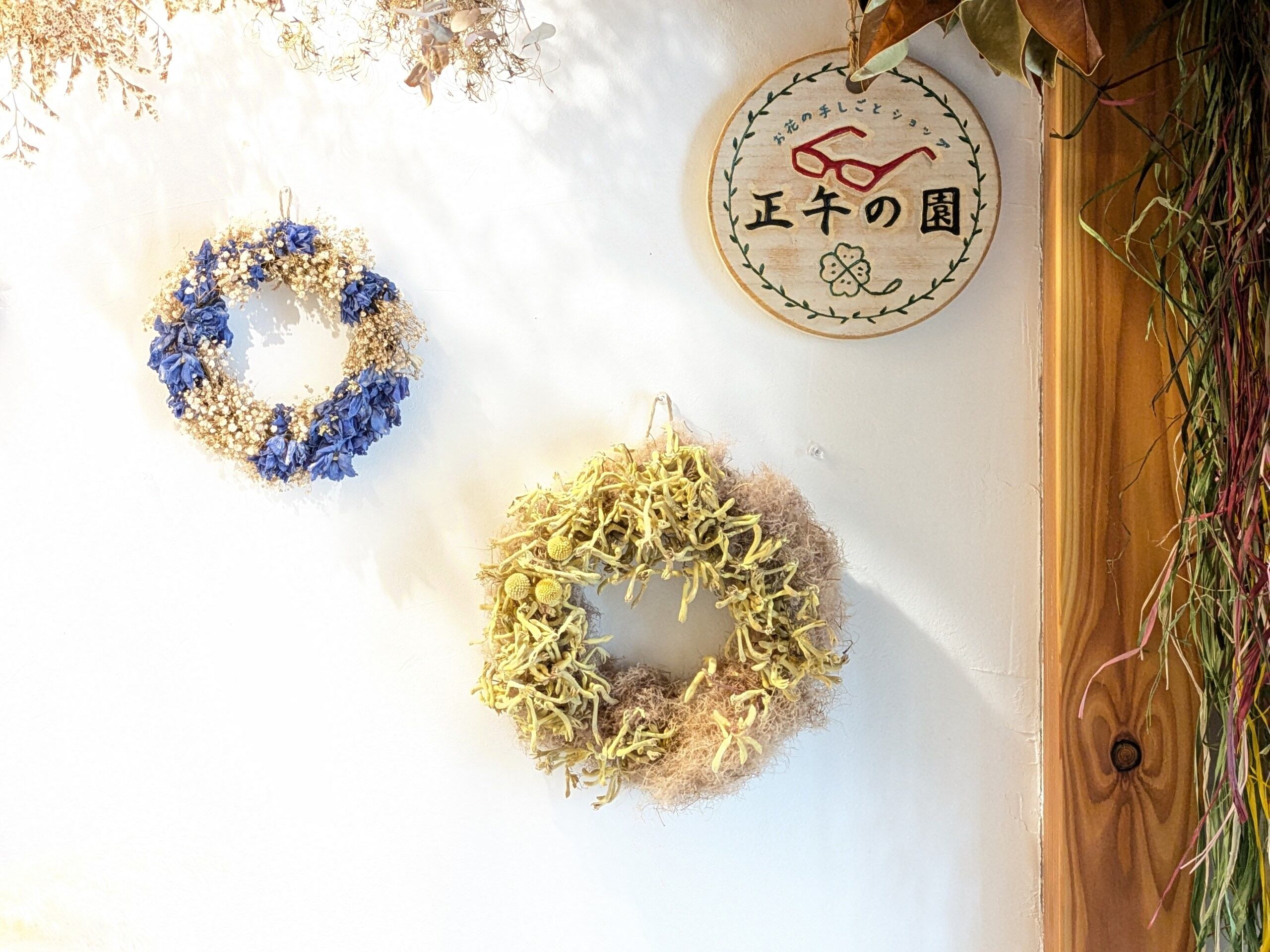 ドライフラワーのリース スモークツリーとカンガルーポー | 正午の園