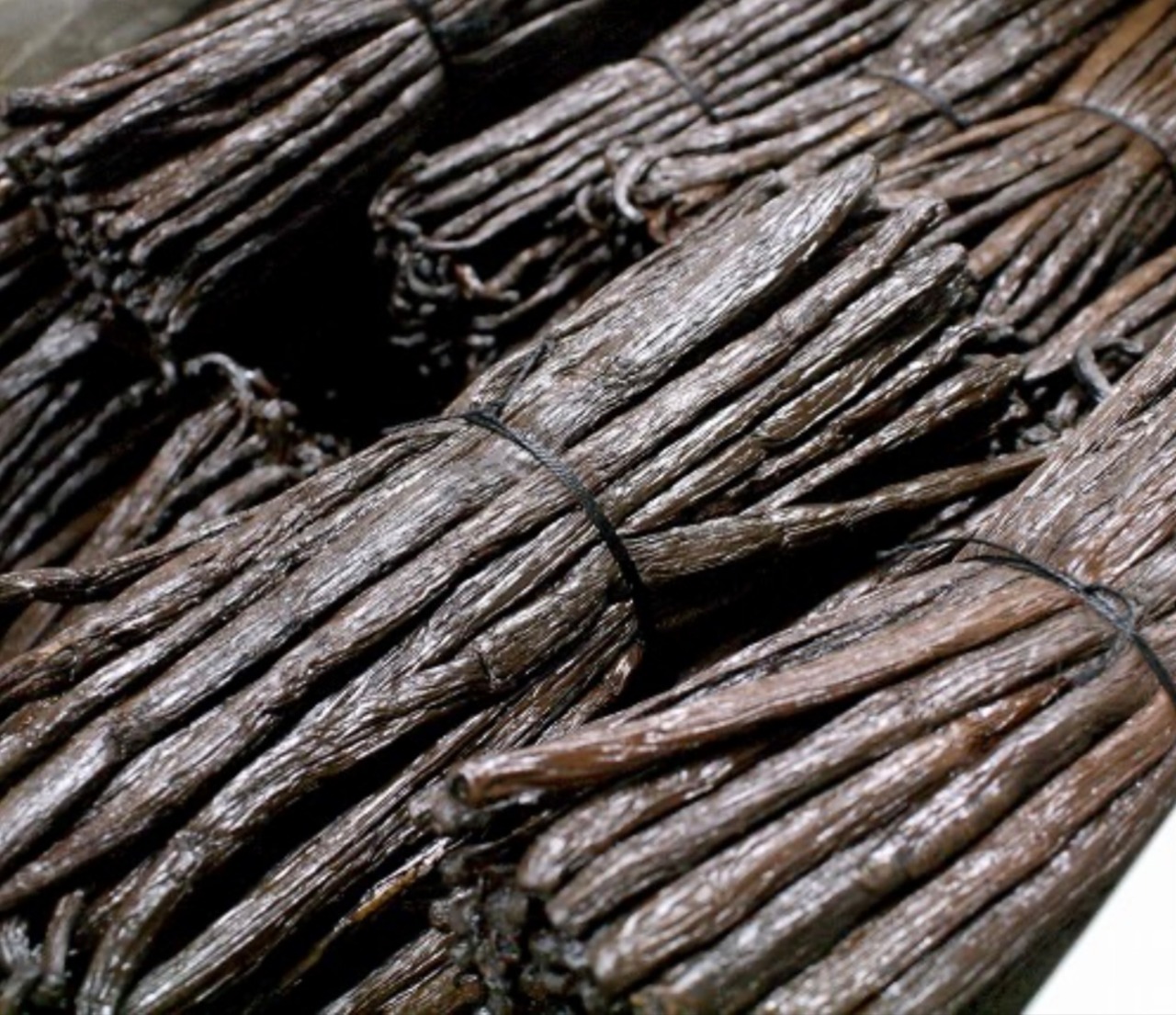 New EC限定 到着日 11月28日(金) ショコラデュオ バニーユマダガスカル 抽選申込 画像1