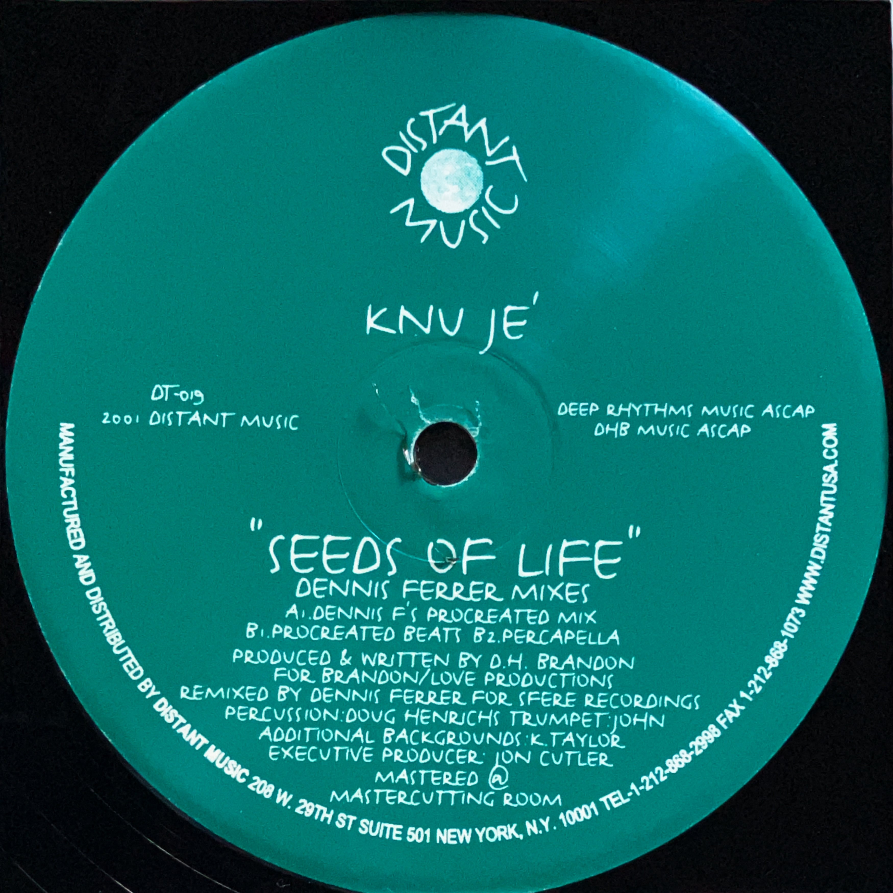 HERBERT The Audience レコード 12