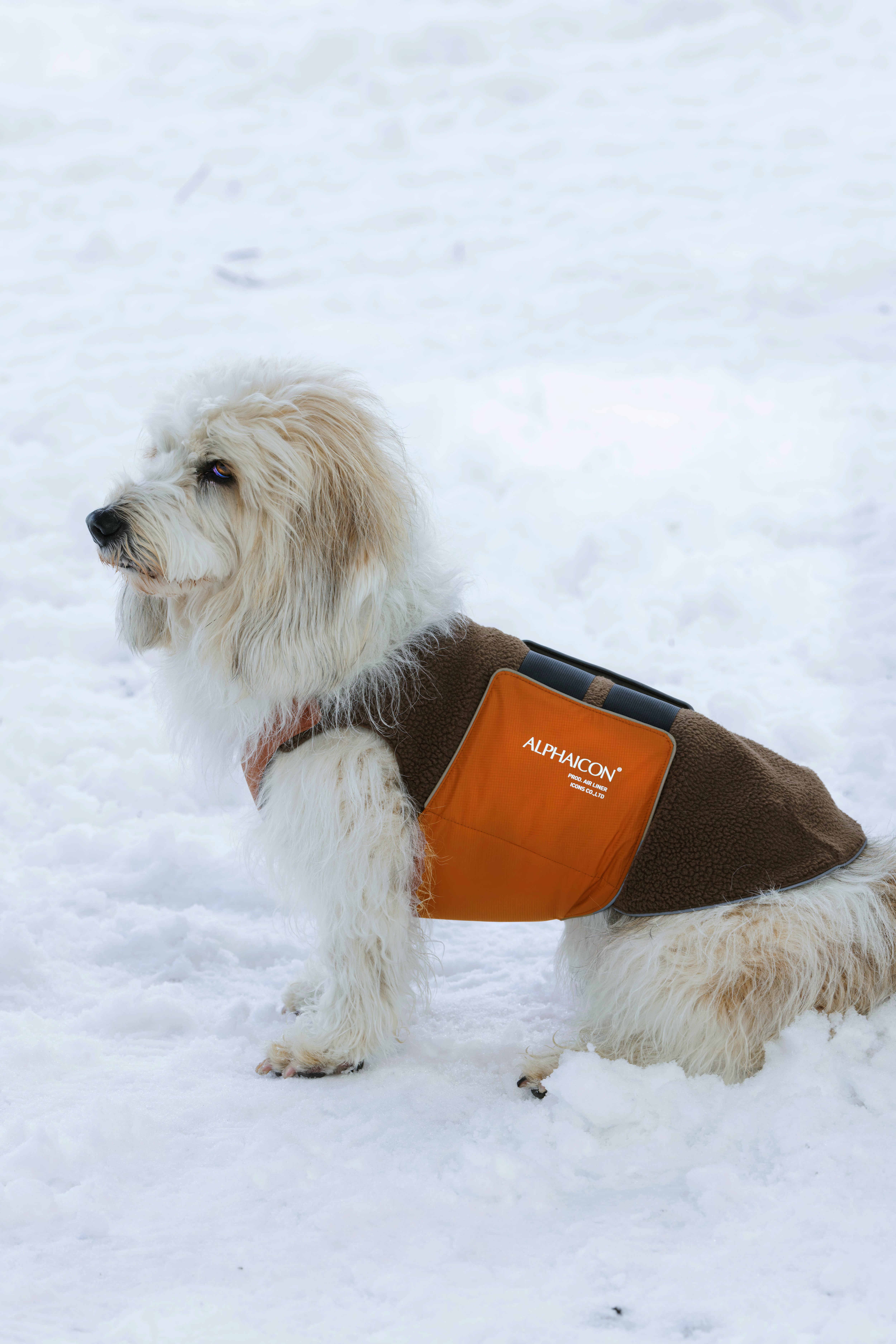 ALPHAICON AIR LINER エアライナー RETRO SKI SM AIR LINER POCKET エアライナーポケット RETRO SKI