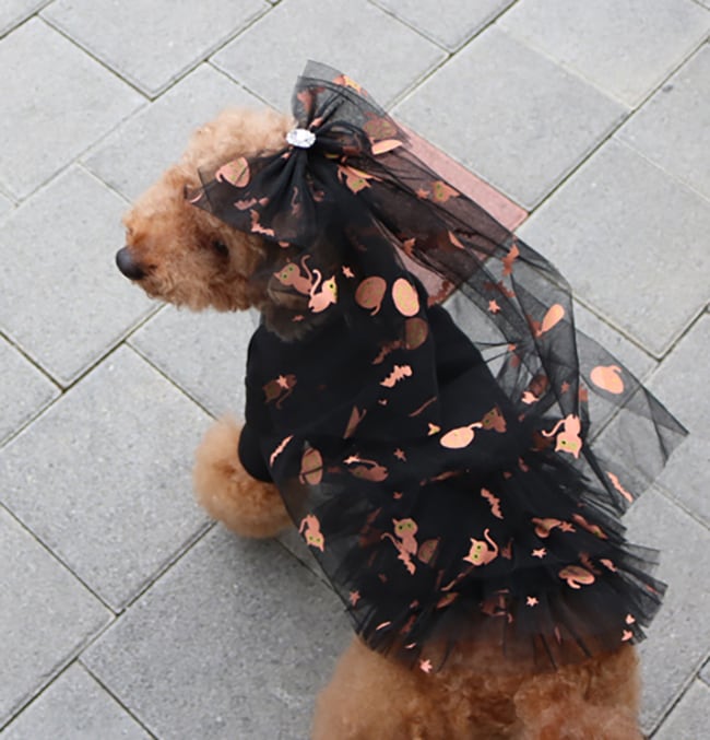 halloween hairpin 2color  /  ペット アクセサリー 犬 ヘアピン 可愛い 犬の服 ドッグウェア 猫 小型犬 中型犬 b27