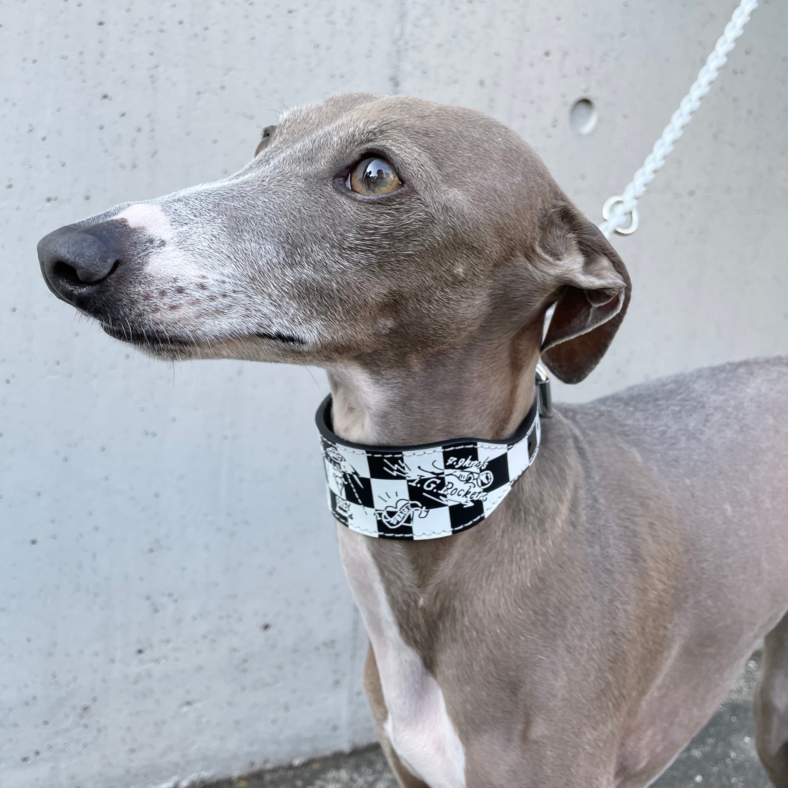 ASTRO☆COLLAR