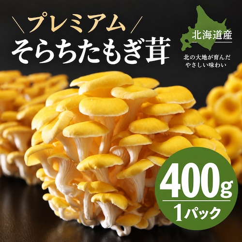 (400g×1パック)プレミアムそらちたもぎ