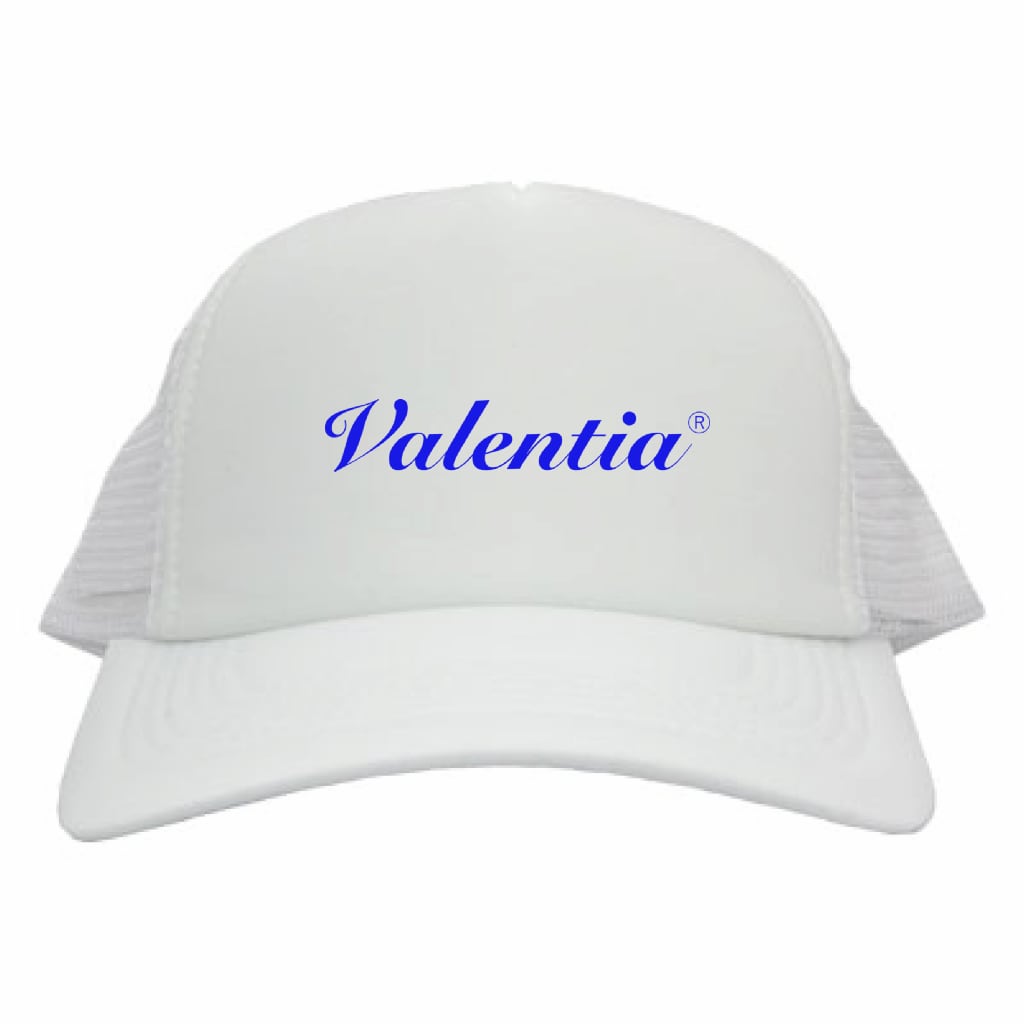 メッシュキャップ