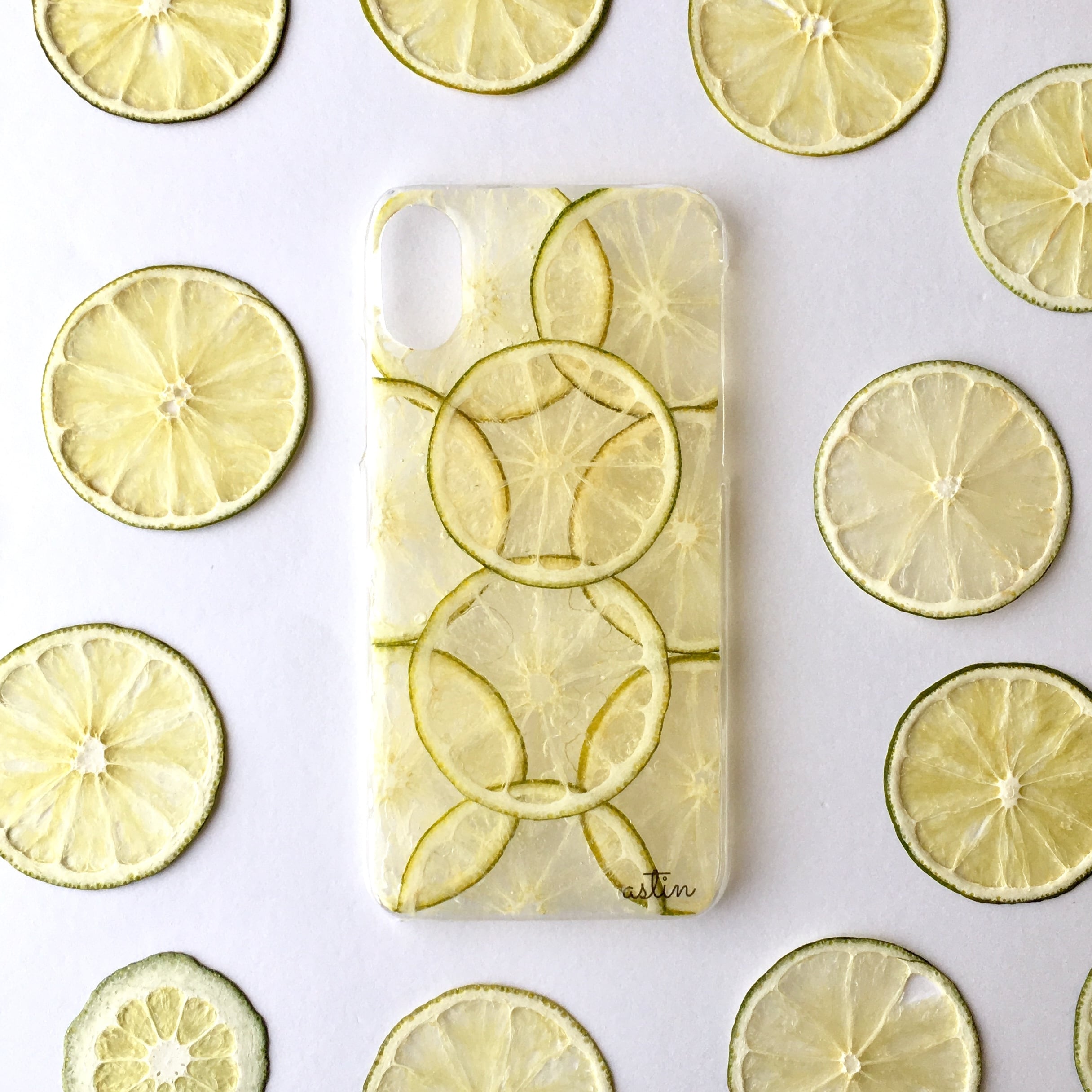 押しフルーツ Poppy_bee様専用No2、No4 オーダーデザイン | astin muhler | 押し花・押しフルーツの全機種対応