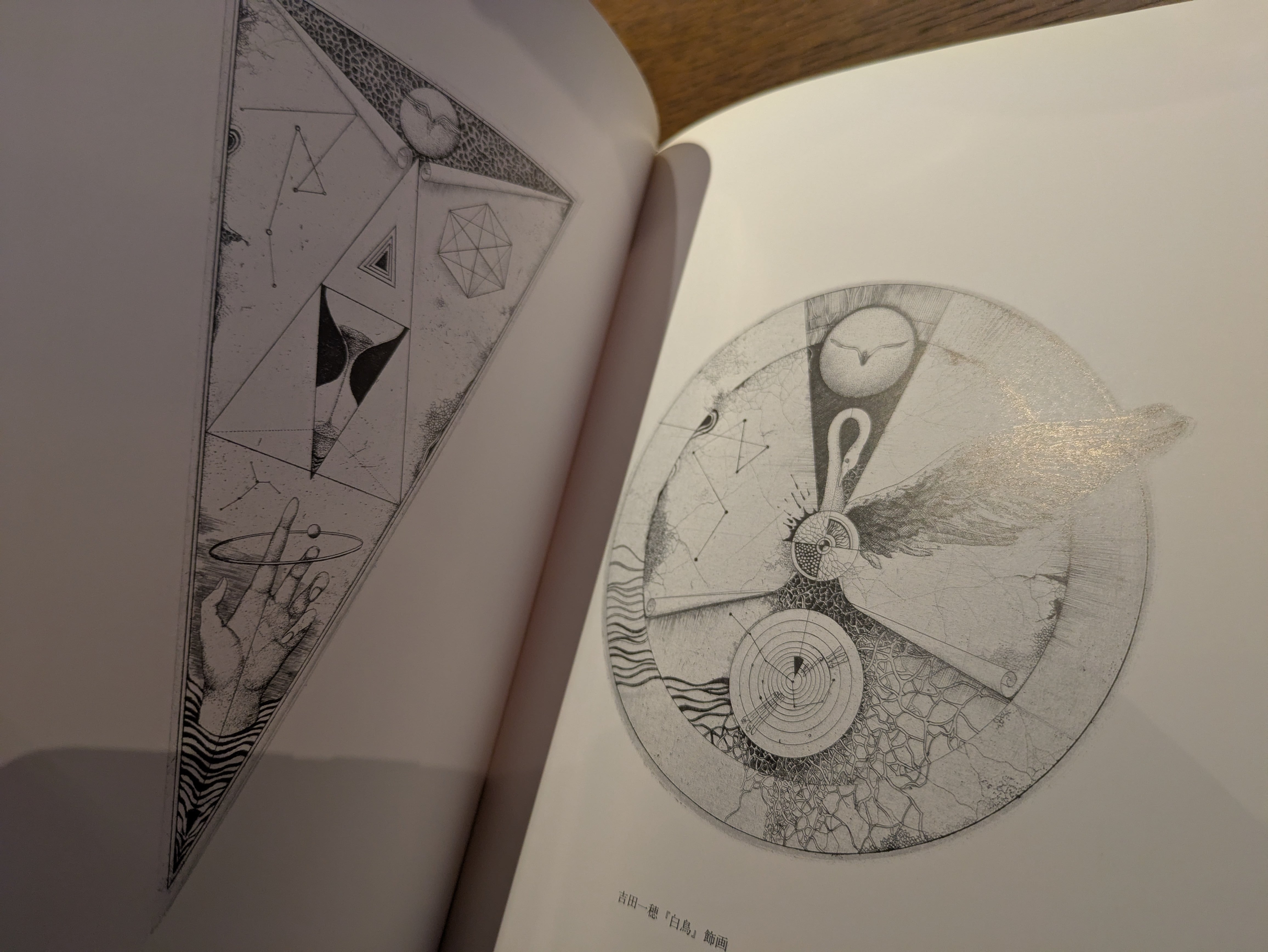 山本六三画集 エロス・タナトス」 1996年 奢灞都館 | 午睡書架