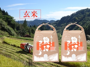 令和５年産米 魚沼コシヒカリ【玄米】特別栽培米 5kg×2