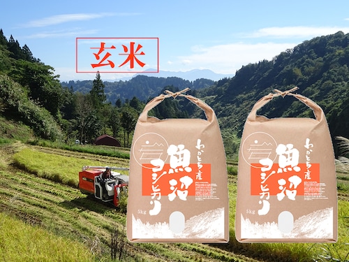 令和５年産米 魚沼コシヒカリ【玄米】特別栽培米 5kg×2