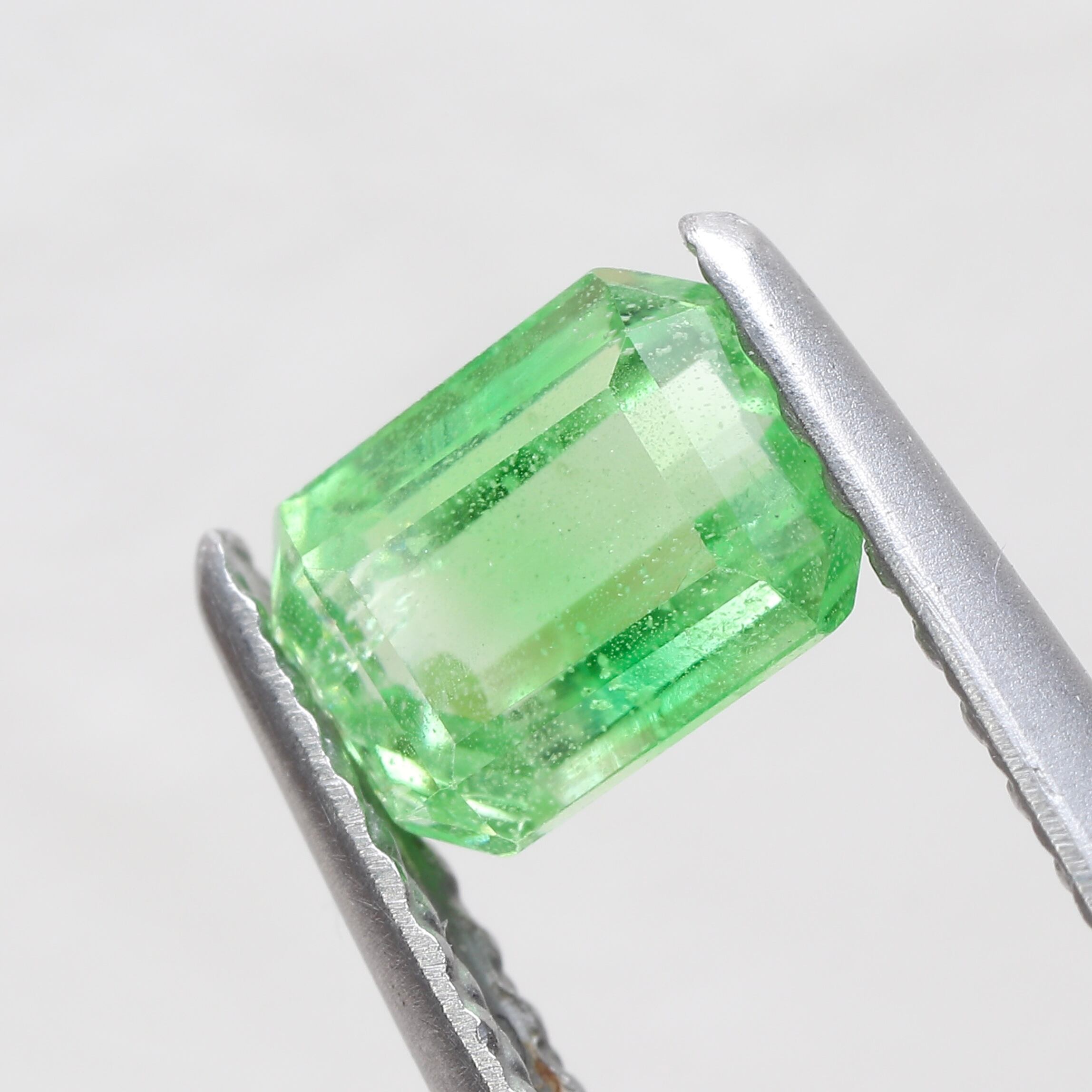 バイカラーグロッシュラーガーネット 0.89ct オクタゴン | 色石堂 バイカラーグロッシュラーガーネット 0.89ct オクタゴン | 色石堂