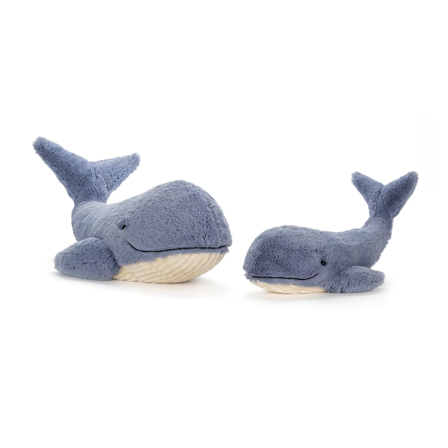 Wilbur Whale Small_WIL3WS