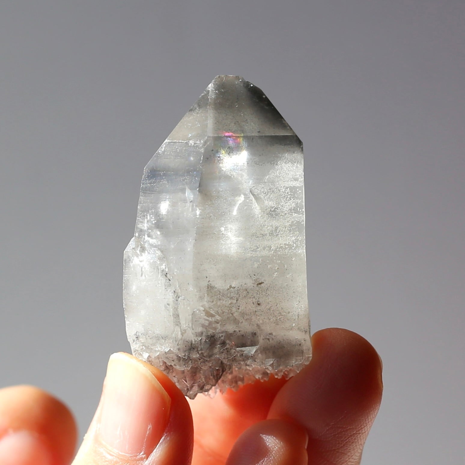 希少！ブラックレムリアンシード 天然石 水晶 鉱物 クォーツ セルフヒールド 希少！ブラックレムリアンシード 天然石 水晶 鉱物 一点物 クォーツ