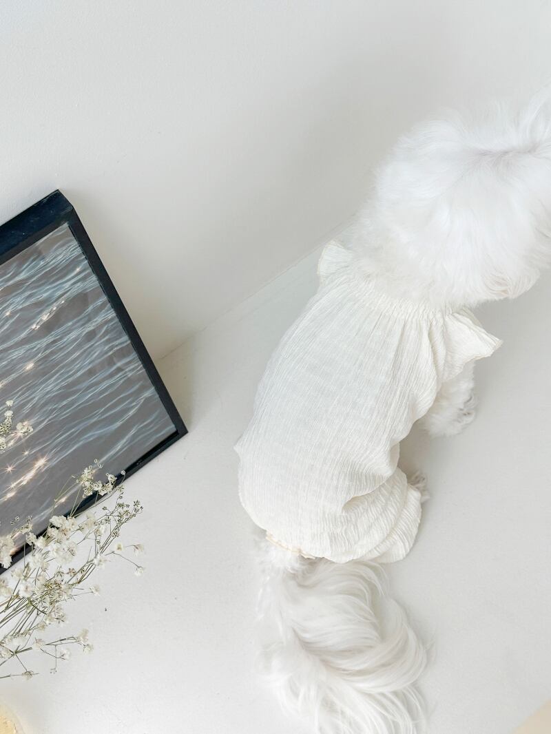 〈即納アイテム〉 EYOU ピュアロマンティックオールインワン(アイボリー )