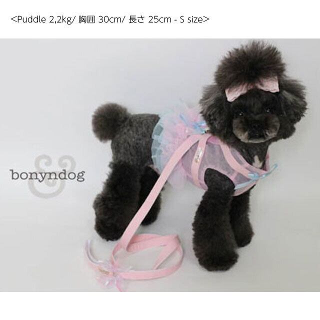 bonyndog【正規輸入】 シースルーハーネス　シャーベット 3-23212-0155