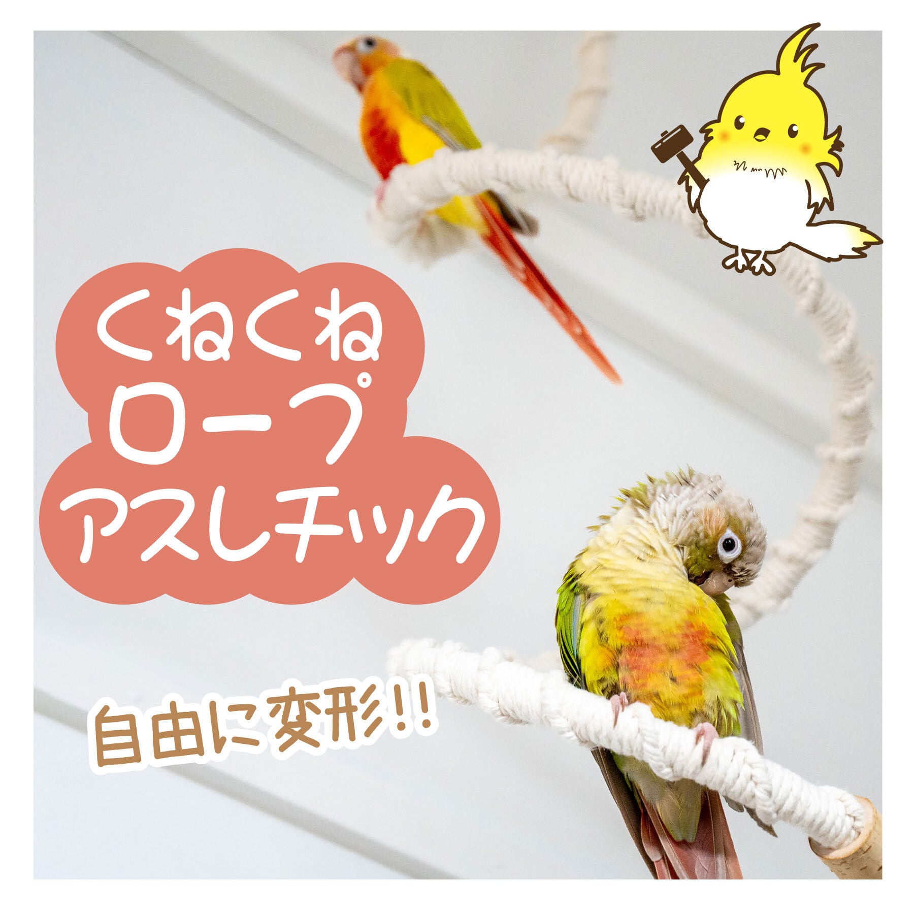 インコちゃんの✩.*˚くねくねロープアスレチック 小型〜中型さん インコちゃんの✩.*˚くねくねロープアスレチック 小型〜中型さん