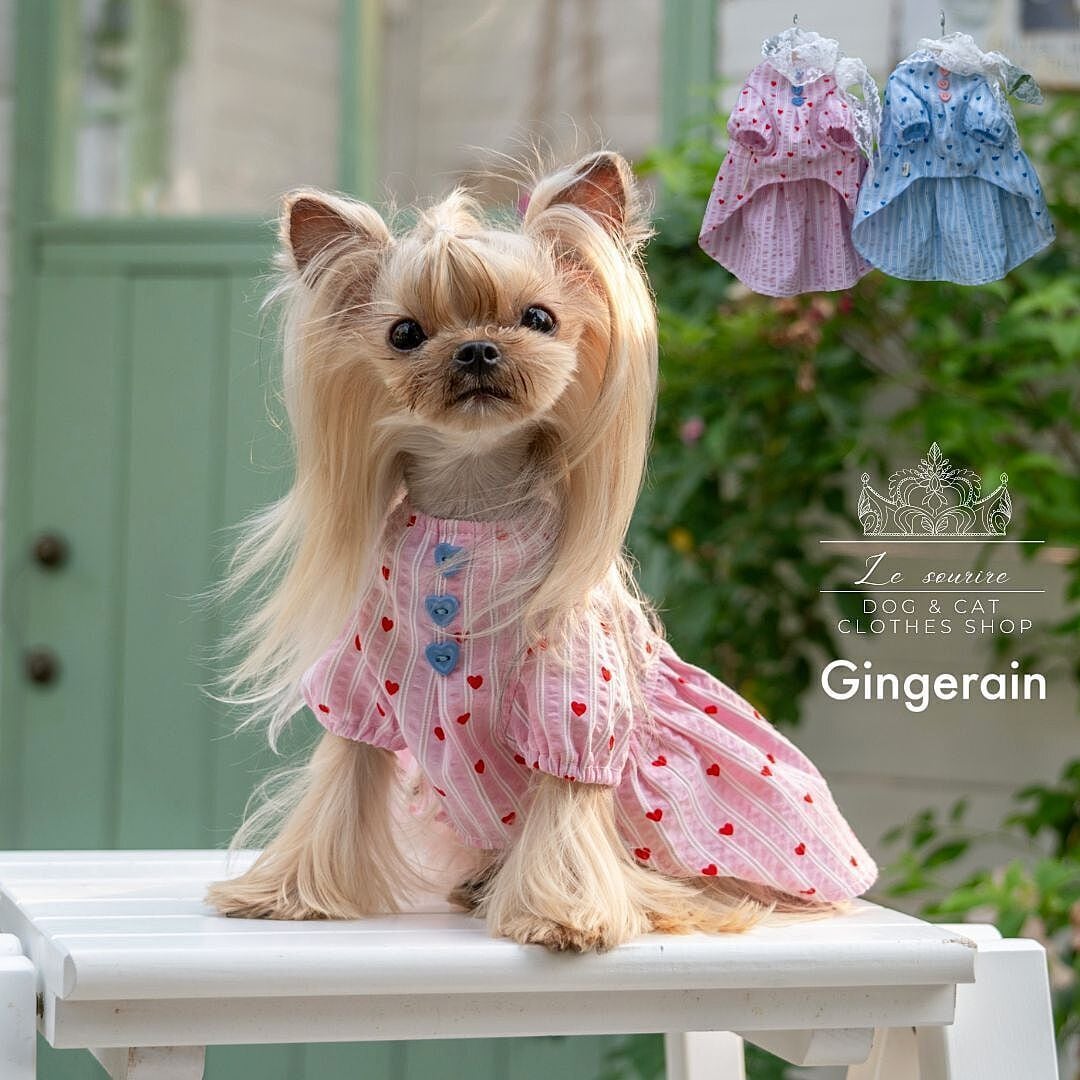 ハンドメイド犬服 パステルカラーのパフスリーブワンピ 色違い3色 接