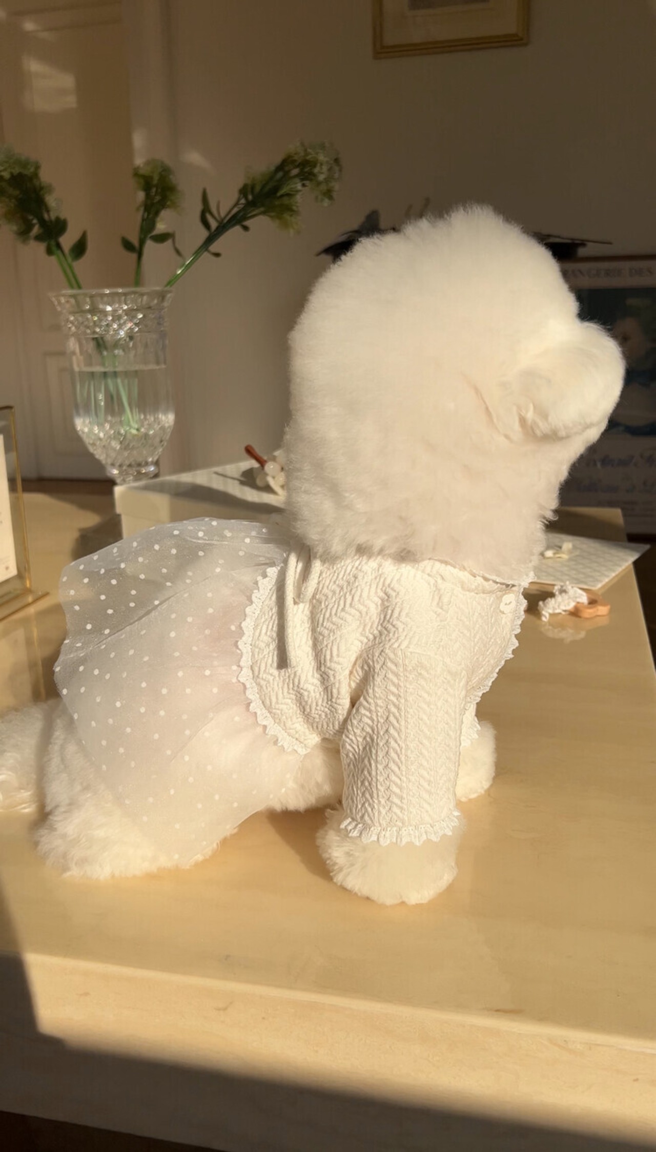 即納【SICGGU】クレールカーディガン