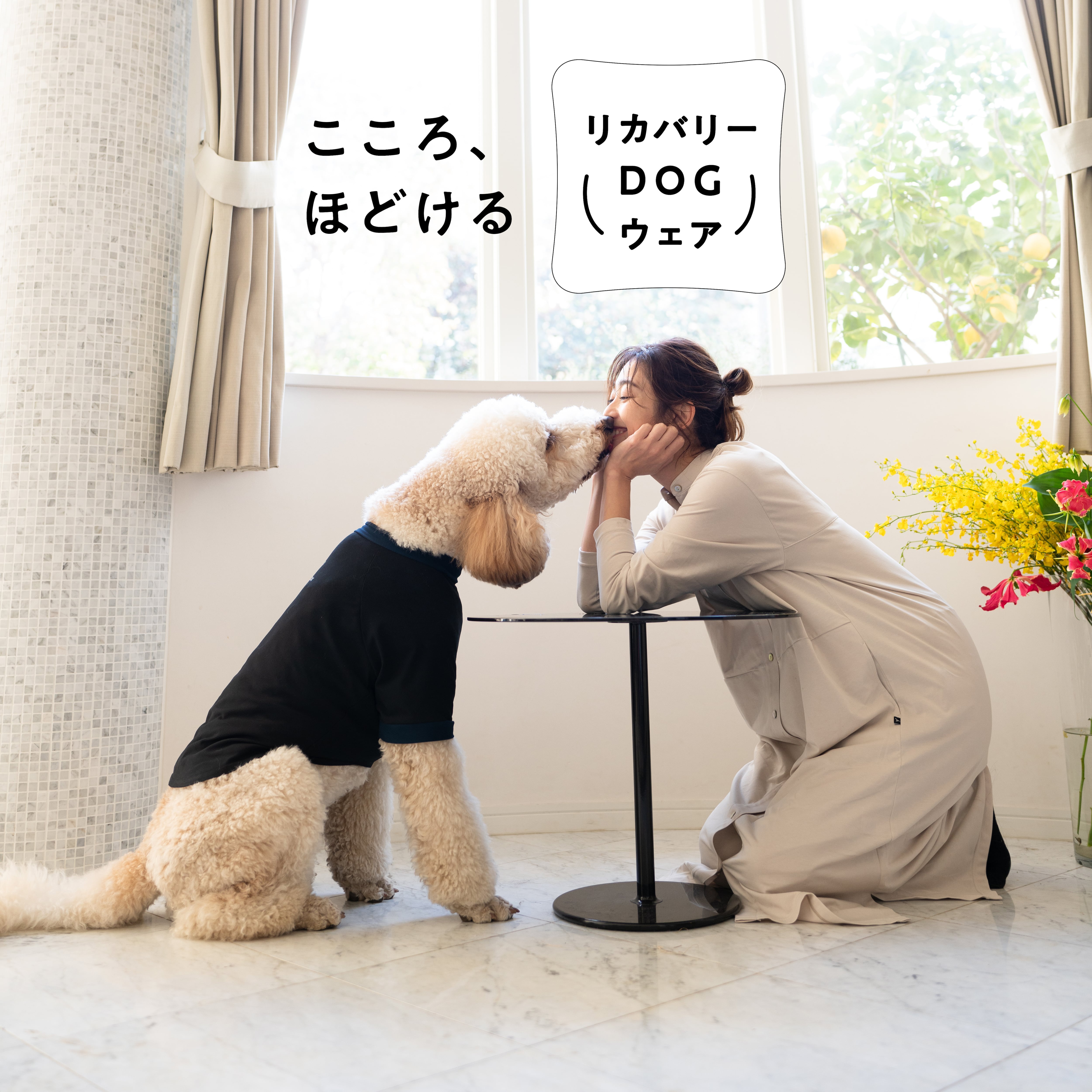 リカバリーDOGウエア LAUW × VENEX support to マナーニ Lsize | LAUW