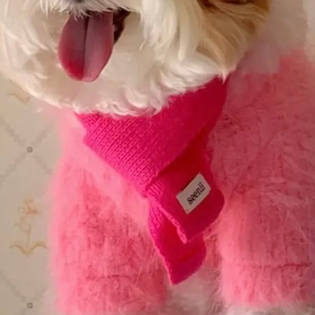 【専用BOX】mts 様