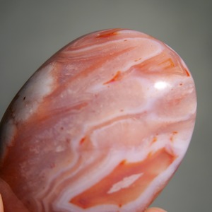 カーネリアン フラワーアゲート / パーム 握り石【B】